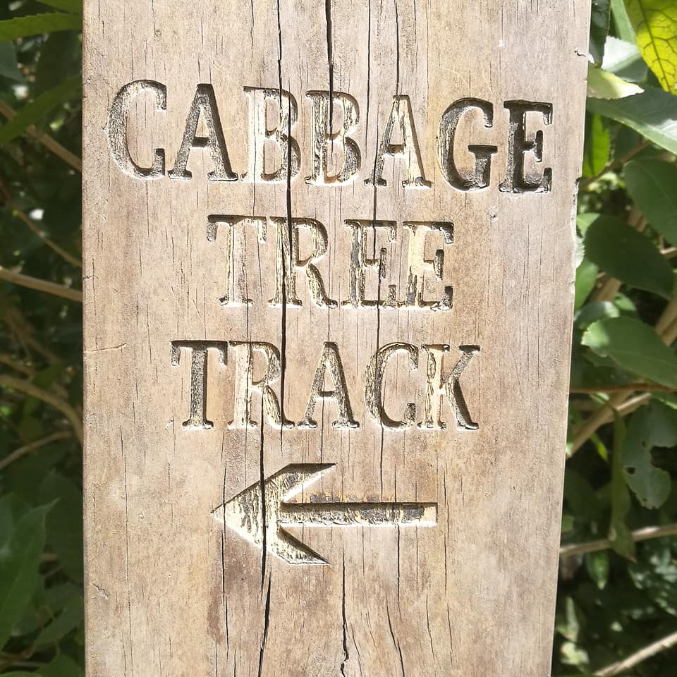 Waitohi Scenic Reserve Roselyn Fauth 2020