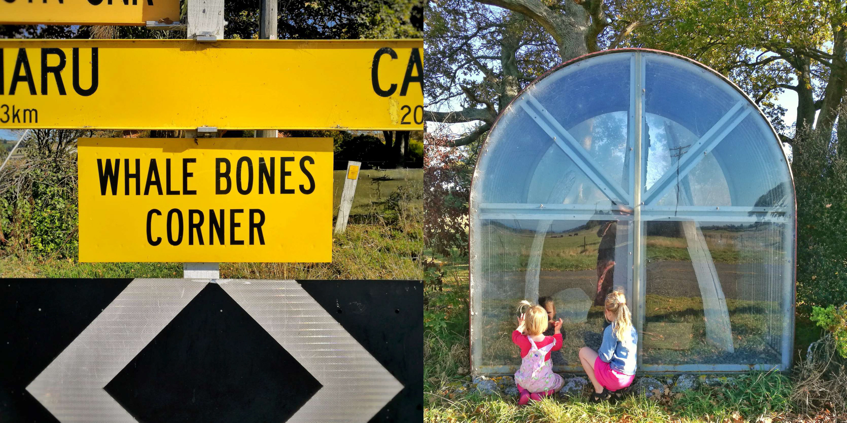 Whale Bone Corner By Roselyn Fauth