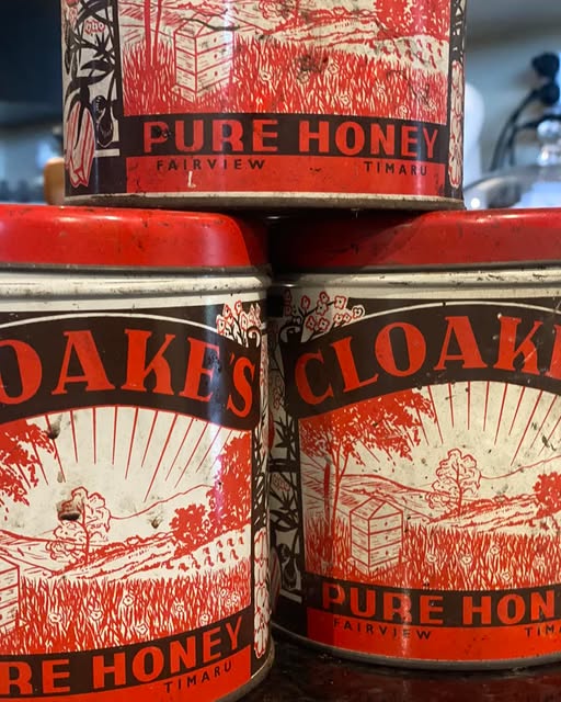 481763884 1115925237001215 8401489071097630343 n