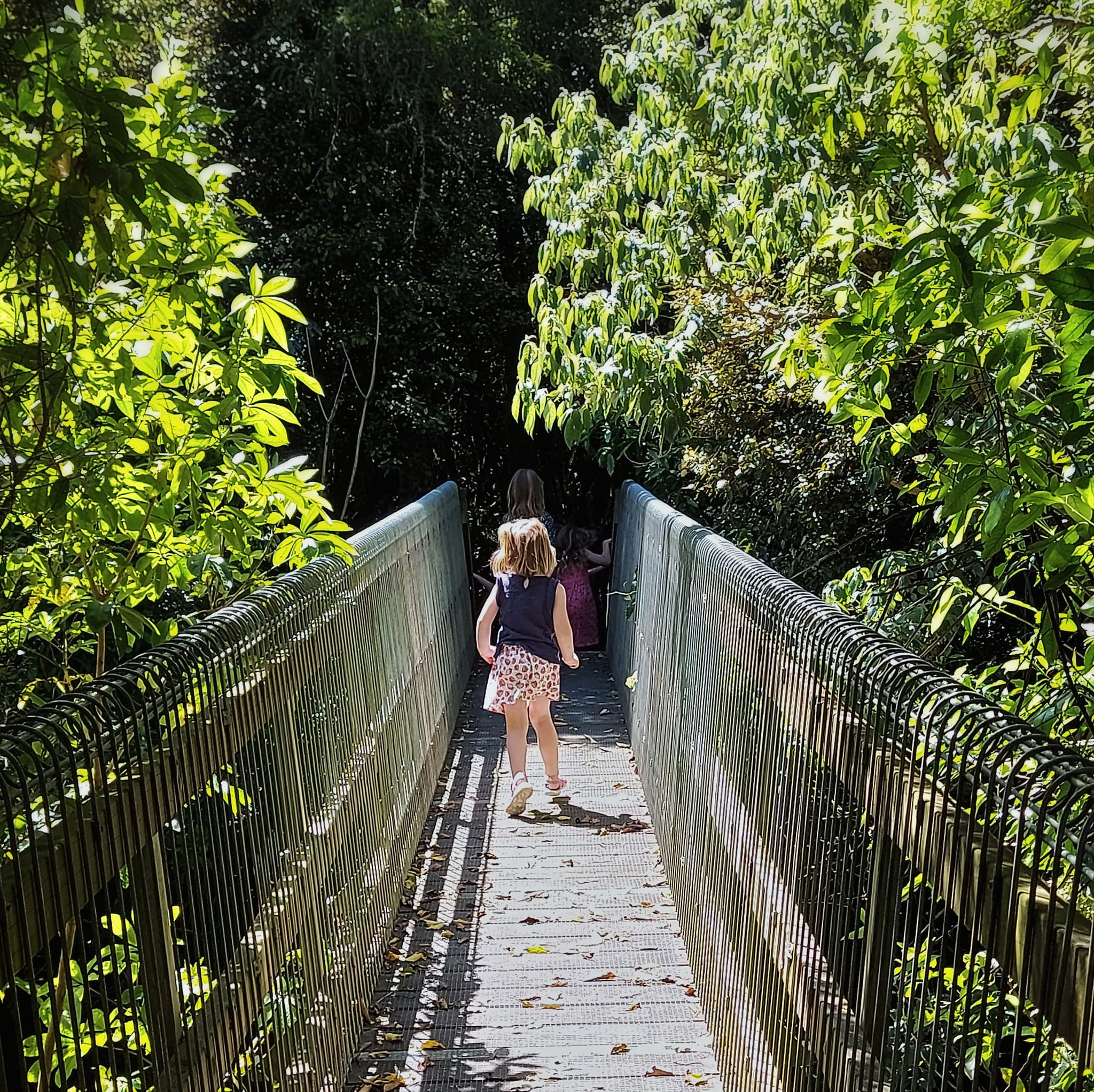 a pavelova picnic at Mt Nimrod Scenic Reserve WuHoo Timaru Roselyn Fauth 3