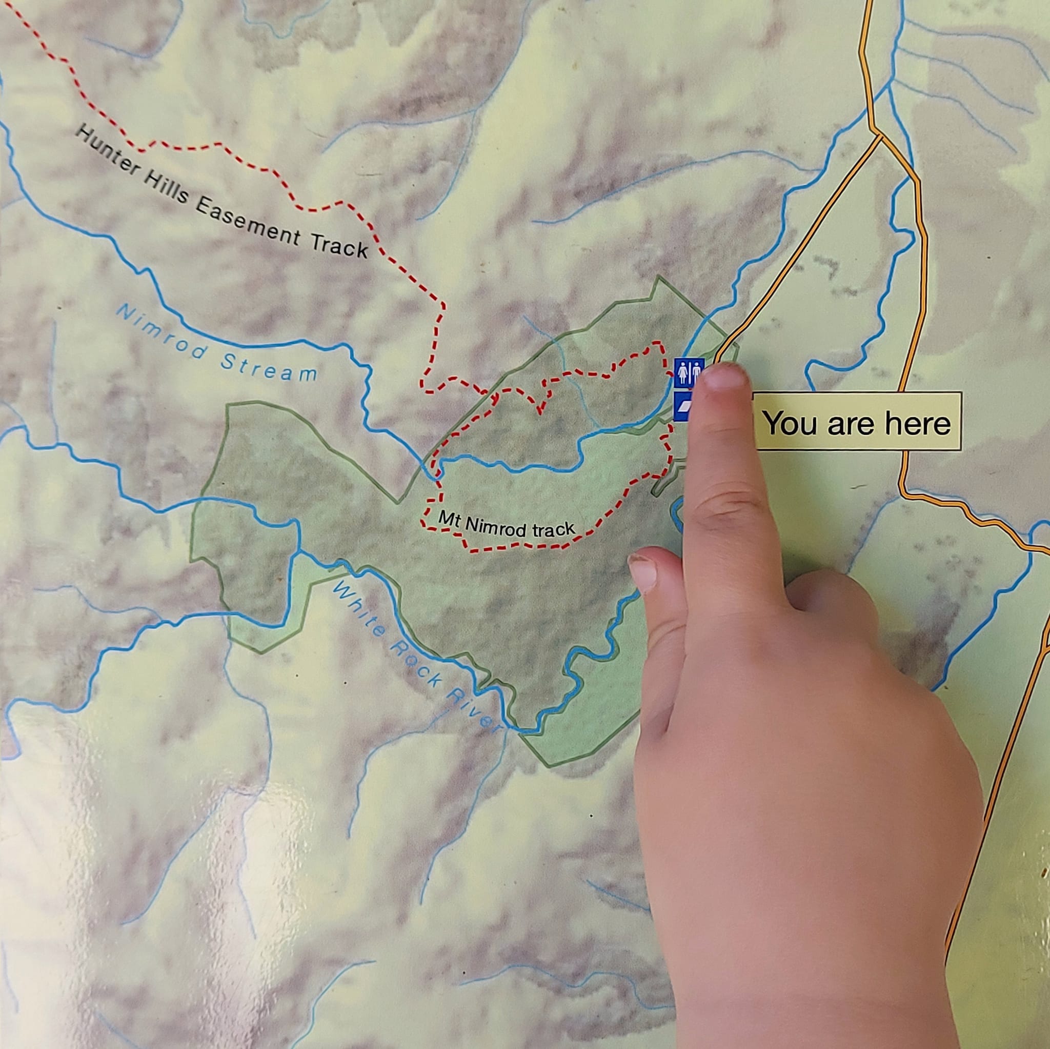 a pavelova picnic at Mt Nimrod Scenic Reserve WuHoo Timaru Roselyn Fauth 4