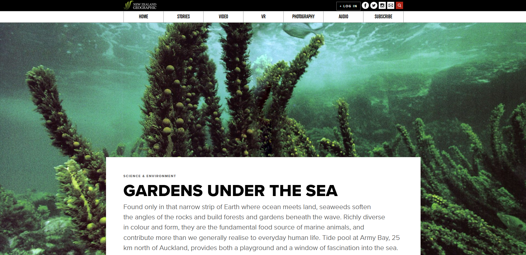nzgeo Gardens under the sea